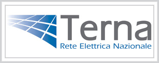 logo terna
